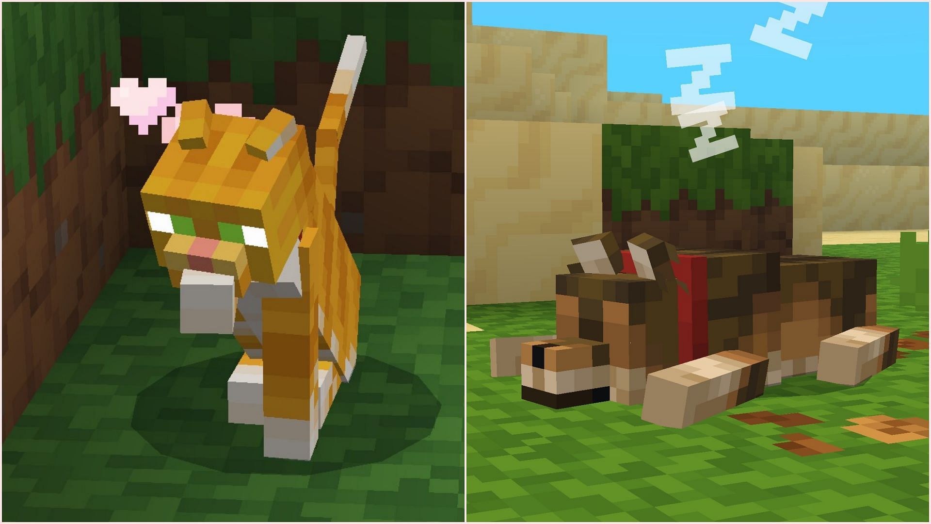 New wolf and cat animations are also featured in this add-on update (Image via Sportskeeda Gaming || Mojang Studios)